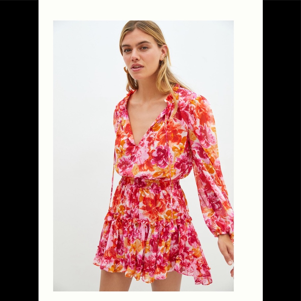 ANTHROPOLOGIE NWT MISA RUFFLED FLORAL MINI 🌸